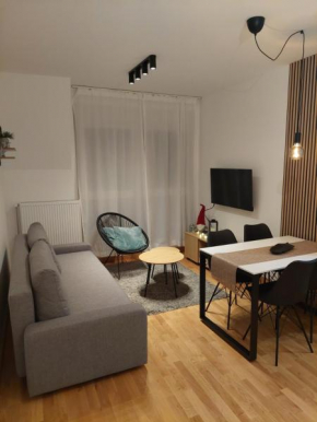 Apartman Infinity MD Divcigora